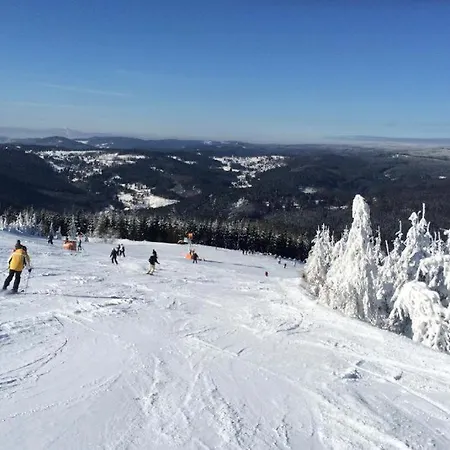 Resident A001 - Bezbariérový Ideální Pro Rodiny S Dětmi, V Těsné Blízkosti Anenského údolí, Bobové Dráhy, Areálů, školy, Free Parking, Free Wifi, Výhled Do Zahrady S Posezením Na Terase, Dětské Hřiště V Areálu * Harrachov