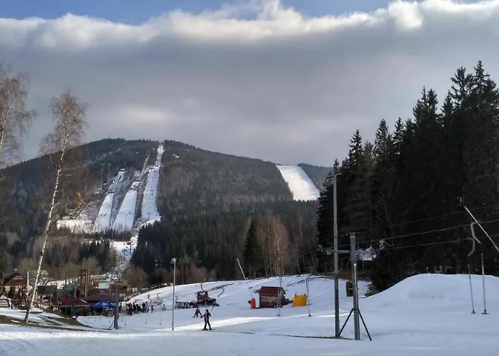 Resident A001 - Bezbarierovy Idealni Pro Rodiny S Detmi, V Tesne Blizkosti Anenskeho Udoli, Bobove Drahy, Arealu, Skoly, Free Parking, Free Wifi, Vyhled Do Zahrady S Posezenim Na Terase, Detske Hriste V Arealu
