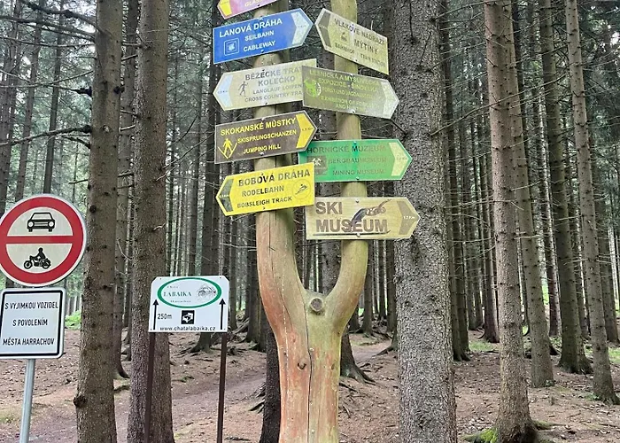 Resident A001 - Bezbarierovy Idealni Pro Rodiny S Detmi, V Tesne Blizkosti Anenskeho Udoli, Bobove Drahy, Arealu, Skoly, Free Parking, Free Wifi, Vyhled Do Zahrady S Posezenim Na Terase, Detske Hriste V Arealu Harrachov