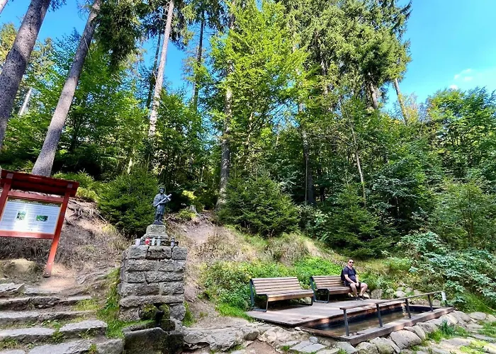 Resident A001 - Bezbarierovy Idealni Pro Rodiny S Detmi, V Tesne Blizkosti Anenskeho Udoli, Bobove Drahy, Arealu, Skoly, Free Parking, Free Wifi, Vyhled Do Zahrady S Posezenim Na Terase, Detske Hriste V Arealu Harrachov