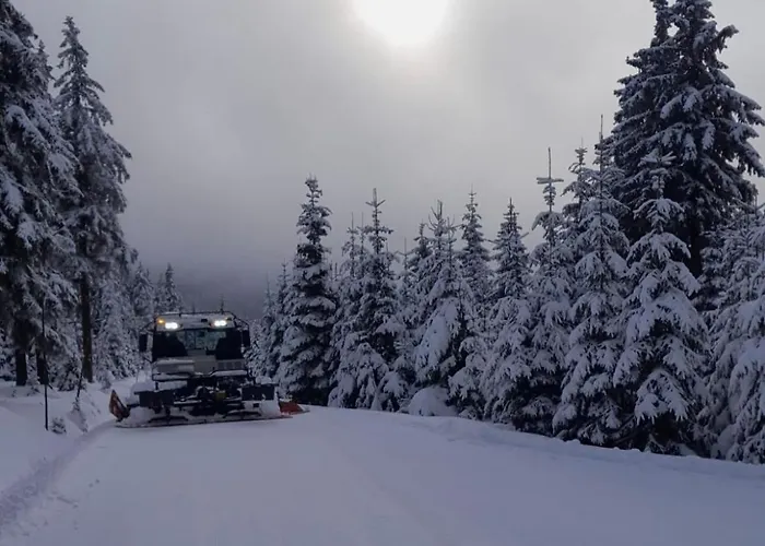 Lägenhet Resident A001 - Bezbarierovy Idealni Pro Rodiny S Detmi, V Tesne Blizkosti Anenskeho Udoli, Bobove Drahy, Arealu, Skoly, Free Parking, Free Wifi, Vyhled Do Zahrady S Posezenim Na Terase, Detske Hriste V Arealu