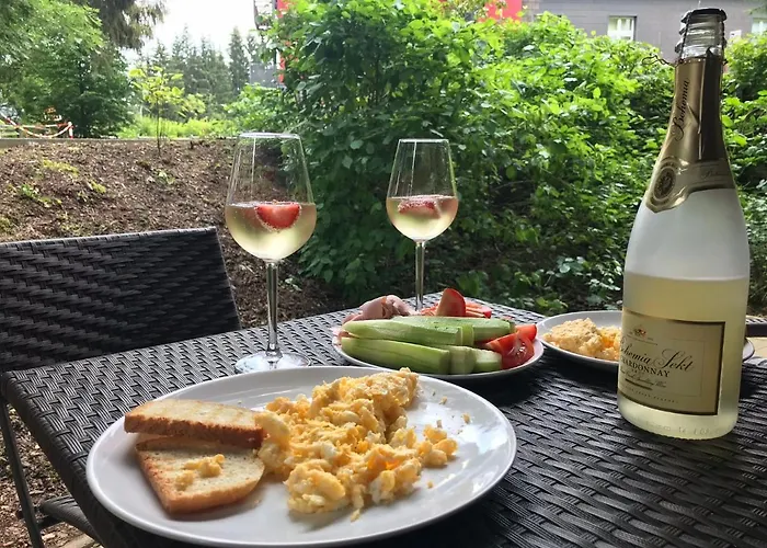 Resident A001 - Bezbarierovy Idealni Pro Rodiny S Detmi, V Tesne Blizkosti Anenskeho Udoli, Bobove Drahy, Arealu, Skoly, Free Parking, Free Wifi, Vyhled Do Zahrady S Posezenim Na Terase, Detske Hriste V Arealu *